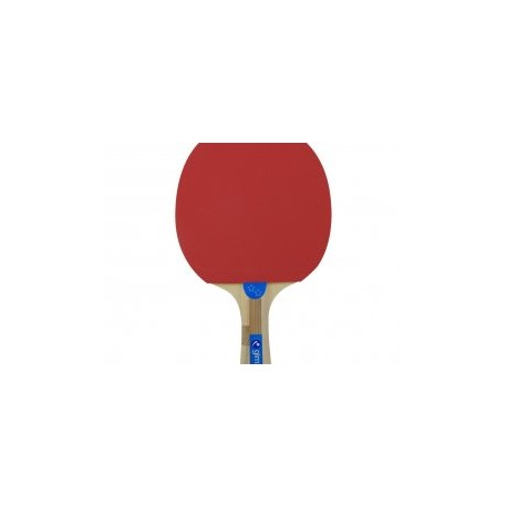 Juego de Ping Pong con 2 Raquetas y 3 Pelotas