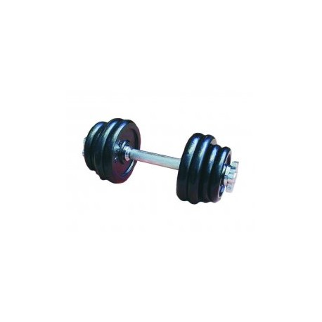 Par de mancuernas de 8 Discos (13.7Kg) marca Gim