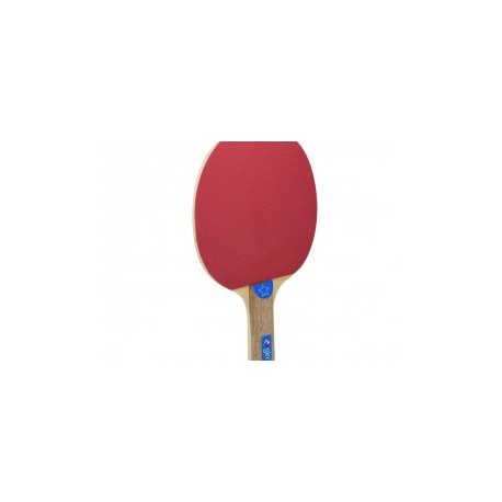 Raqueta para Ping Pong de 1 Estrella Gimbel