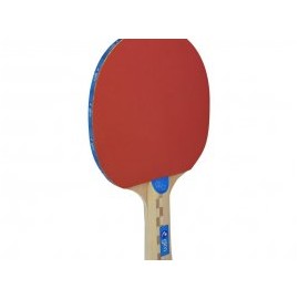 Raqueta para Ping Pong de 2 Estrella Gimbel