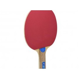 Raqueta para Ping Pong de 1 Estrella Gimbel