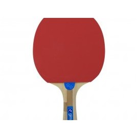 Juego de Ping Pong con 2 Raquetas y 3 Pelotas